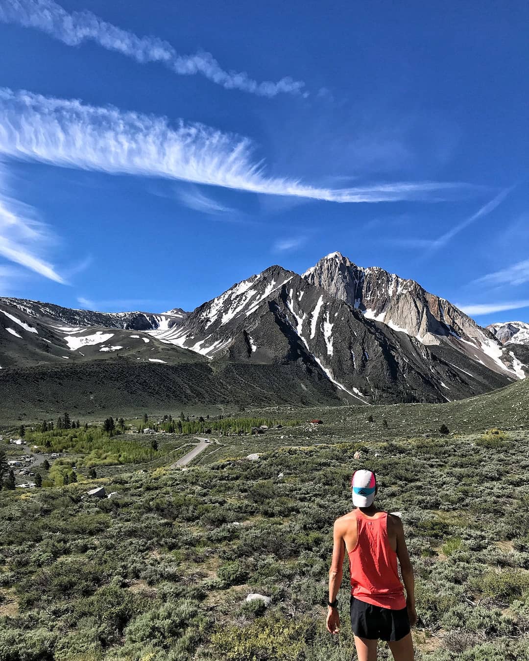 Ad by myspringenergy.com