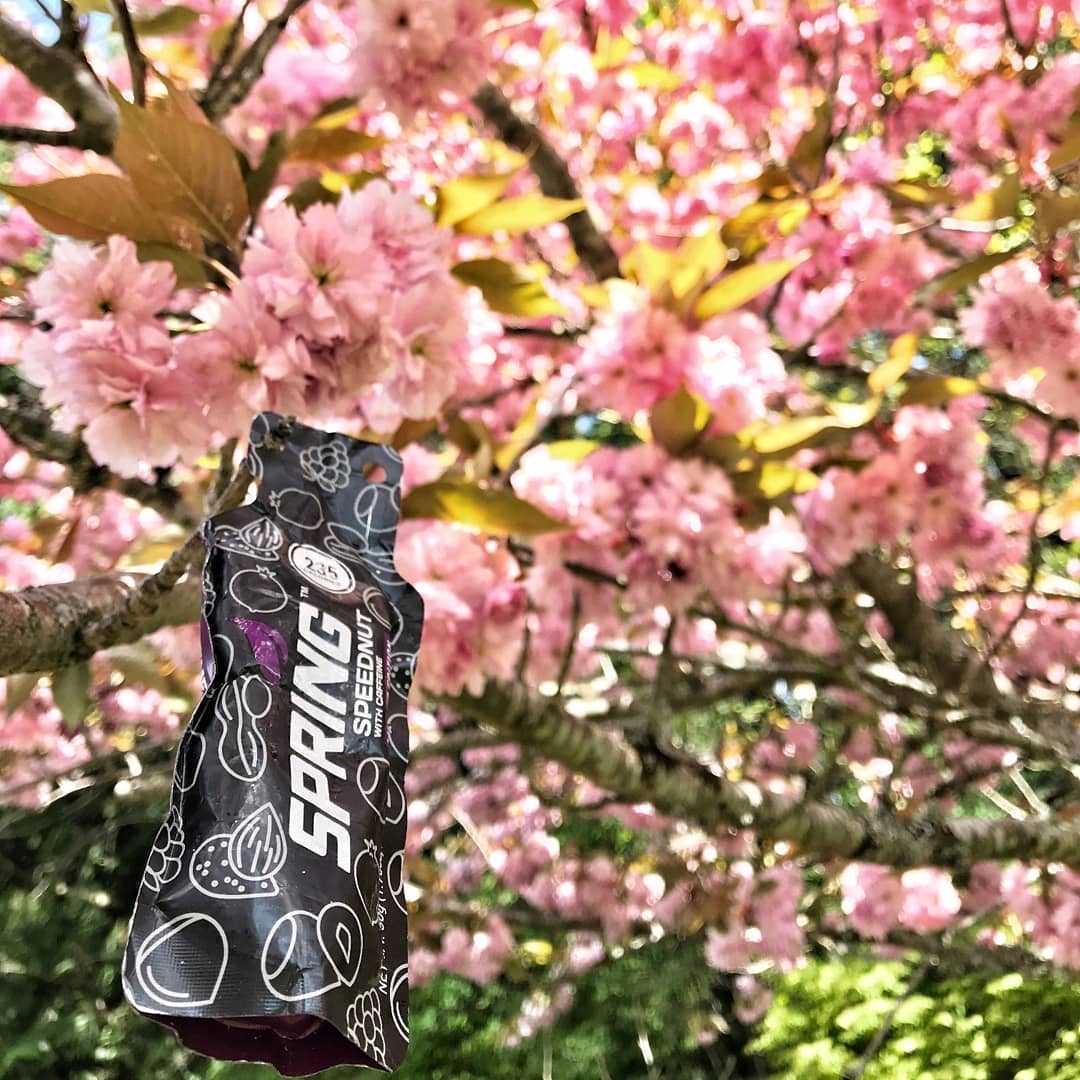 Ad by myspringenergy.com