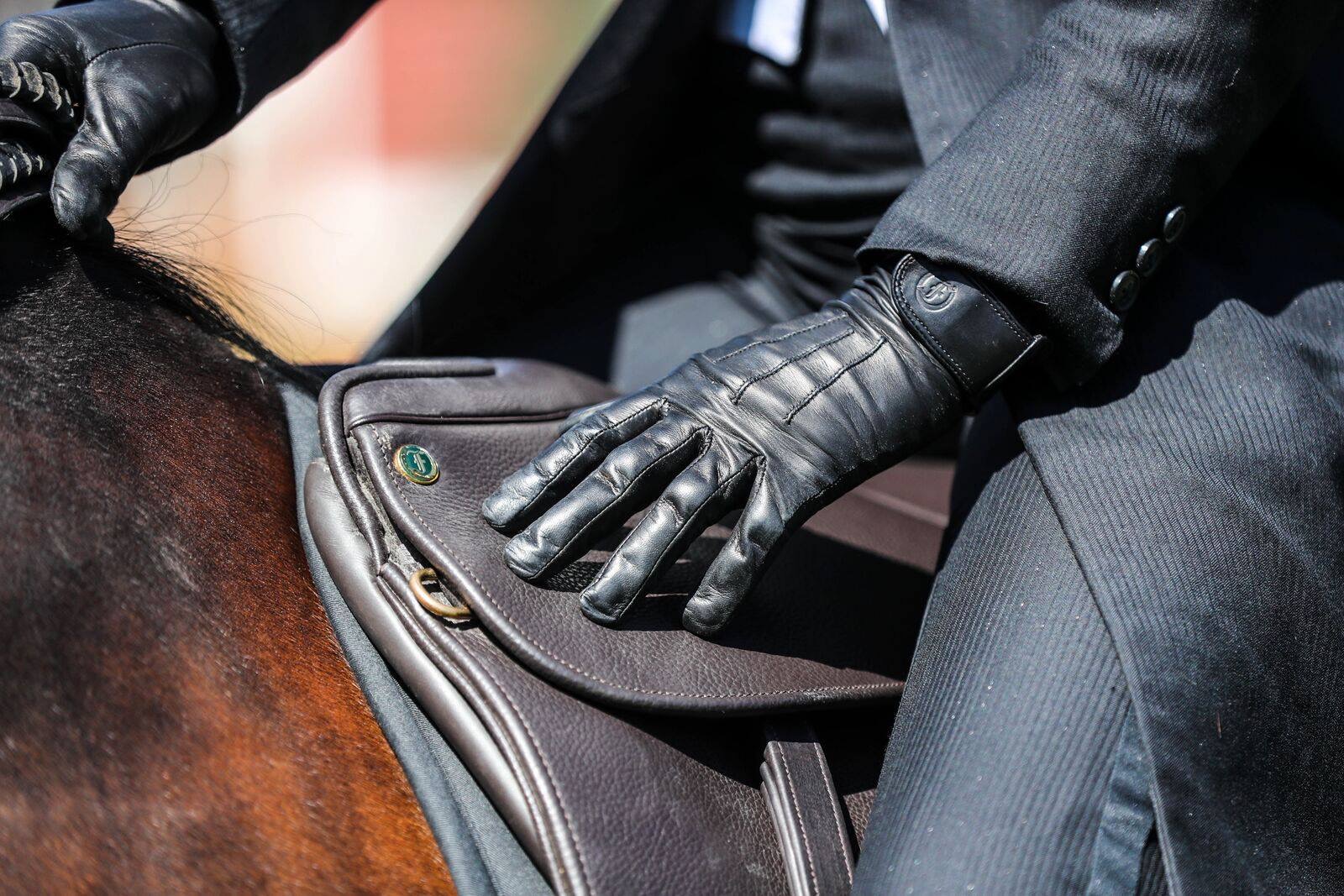 Ad by freedmanharness.com