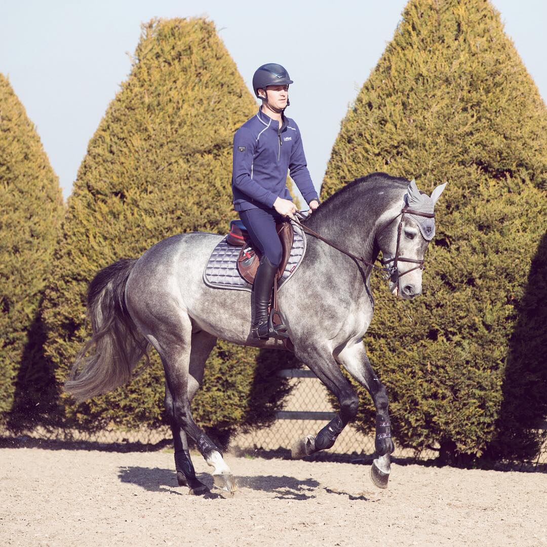 Ad by equus.co.uk
