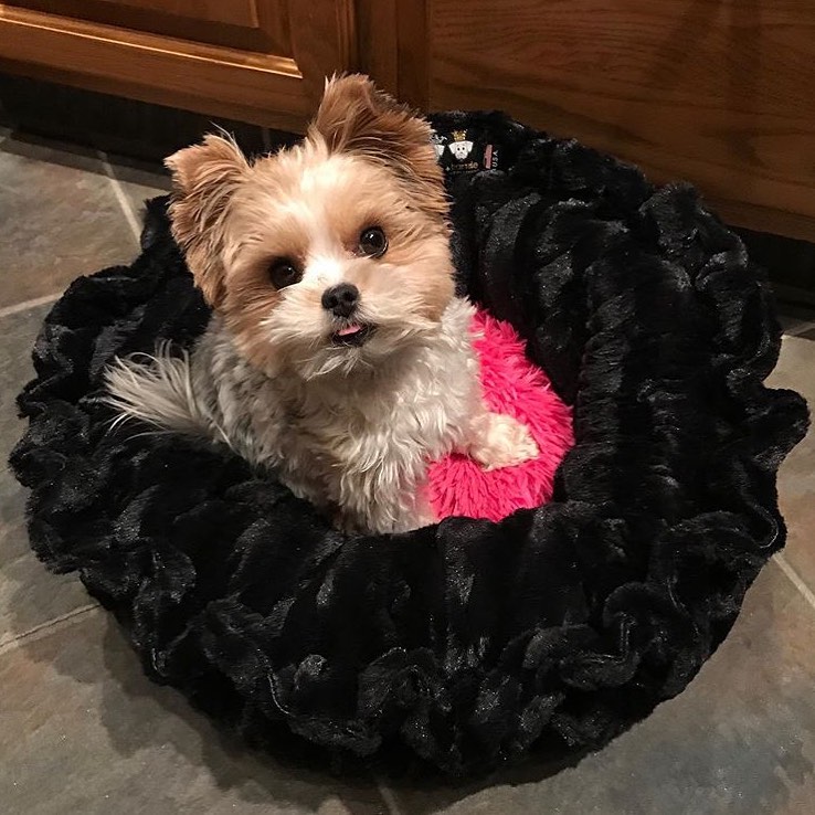 Ad by bessieandbarnie.com