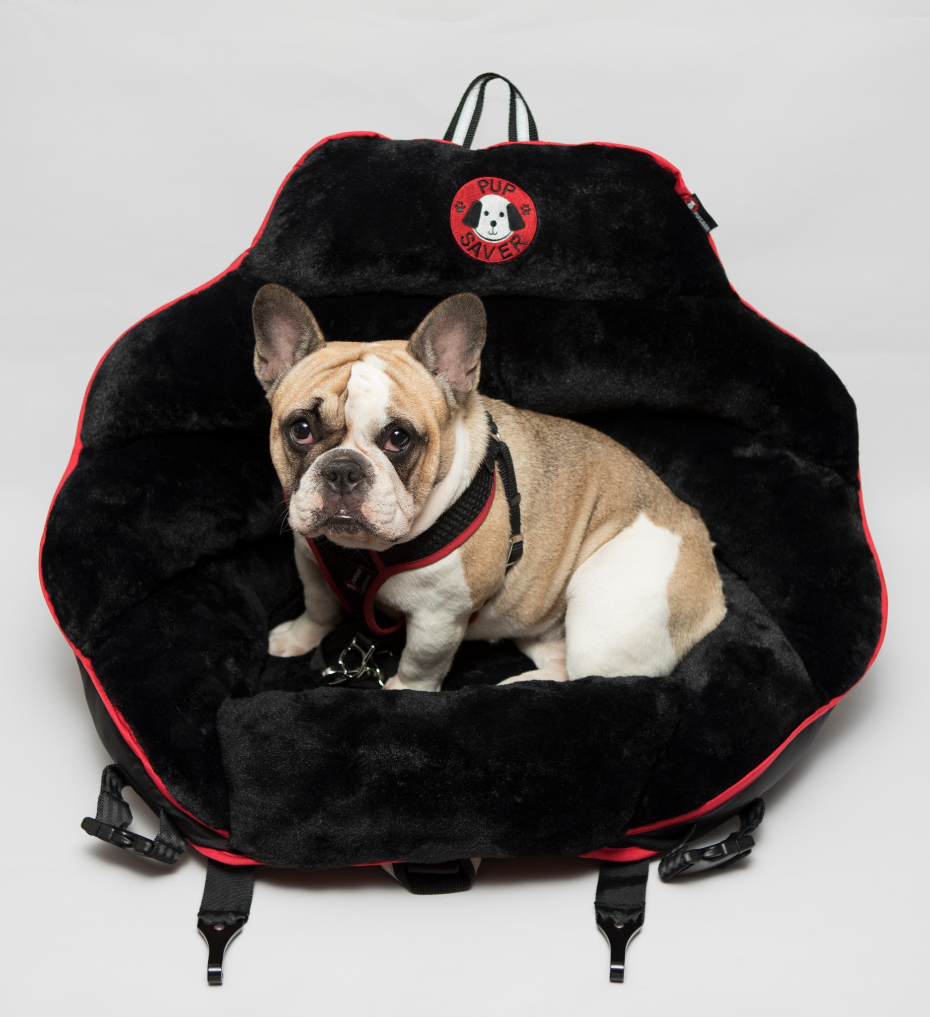 Ad by pupsaver.com