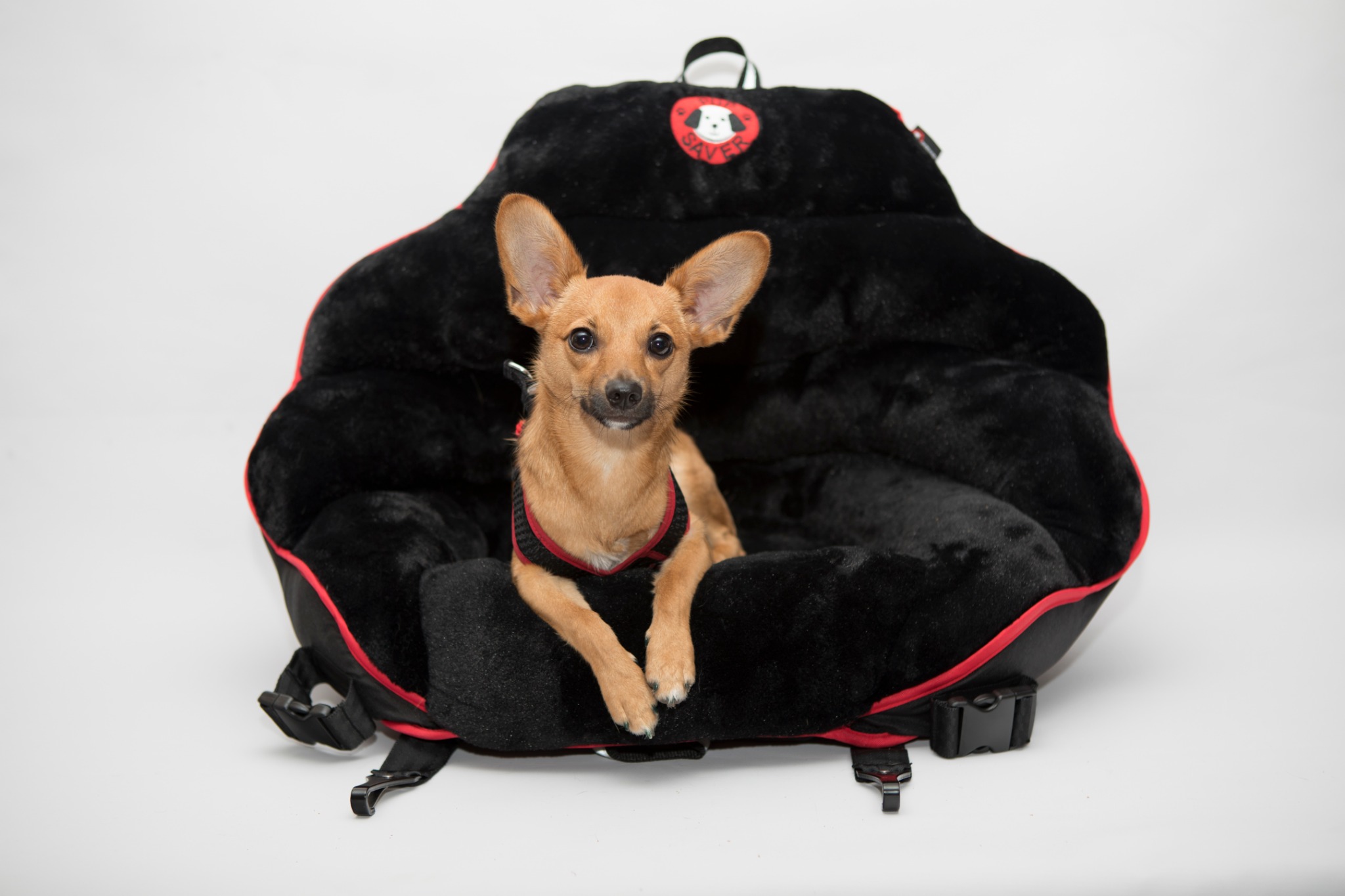 Ad by pupsaver.com