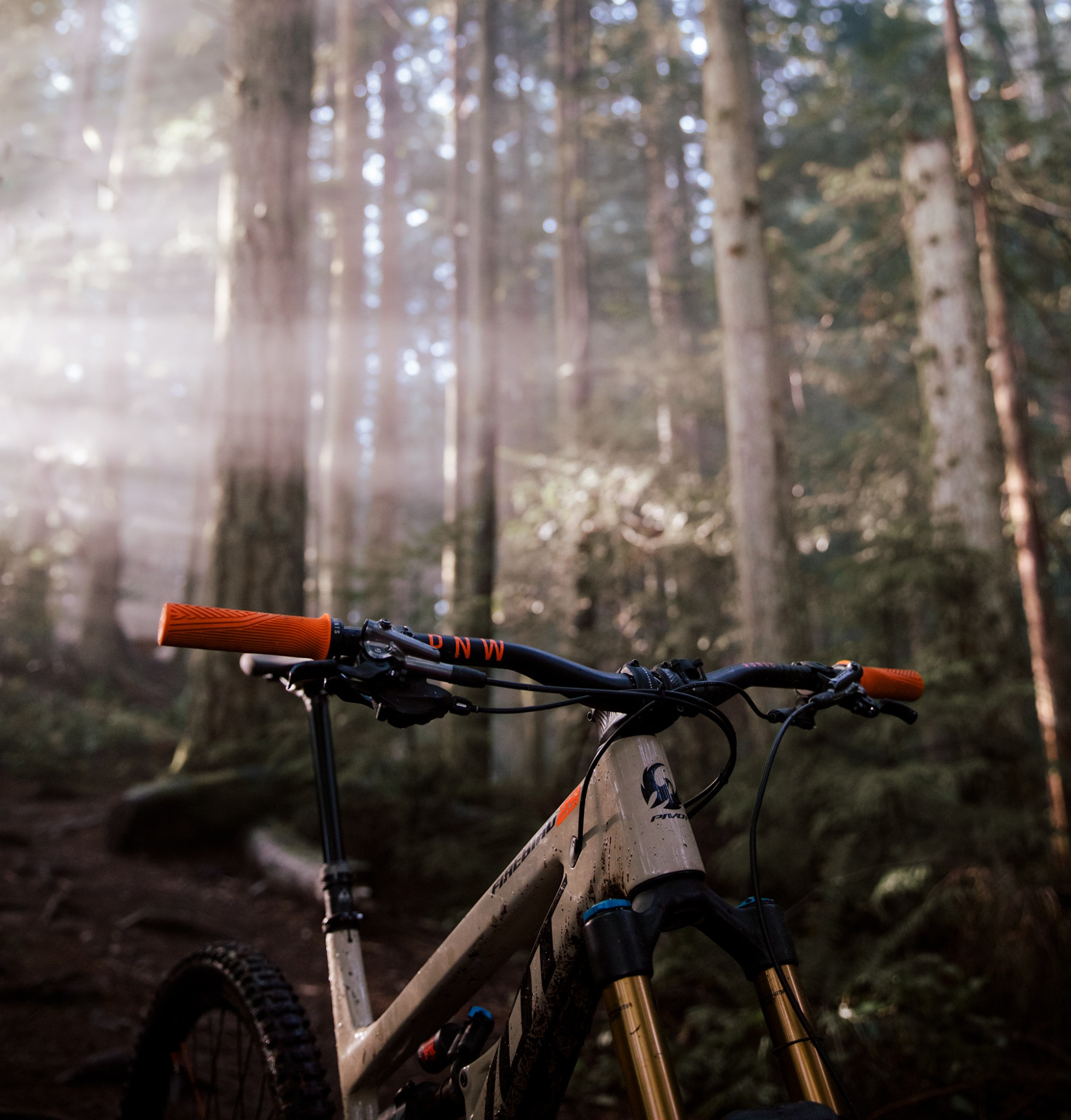 Ad by pnwcomponents.com