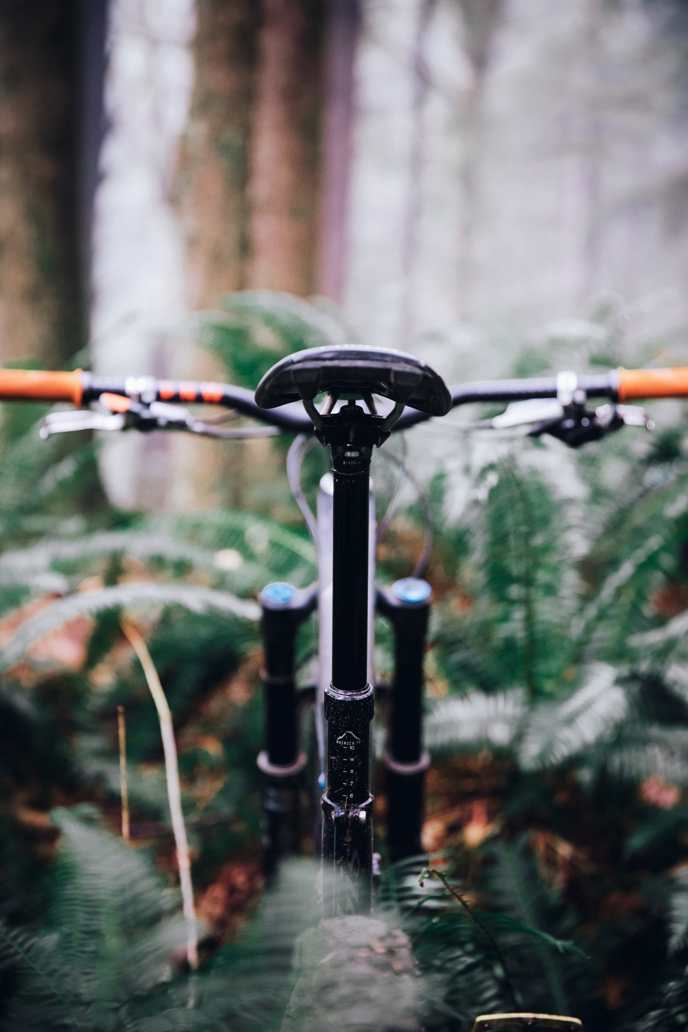 Ad by pnwcomponents.com