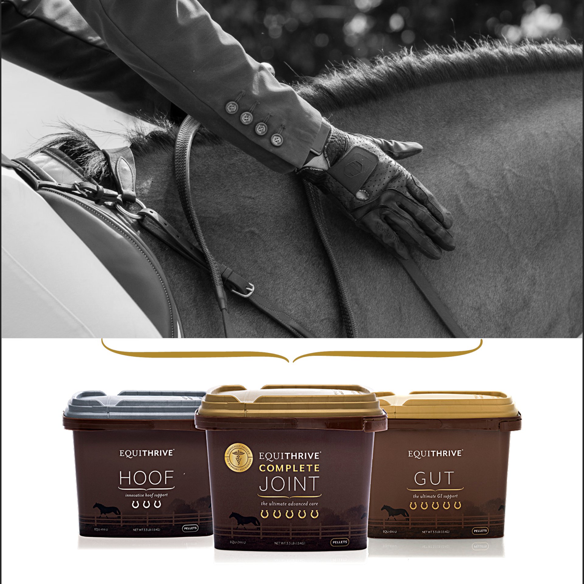 Ad by equithrive.com