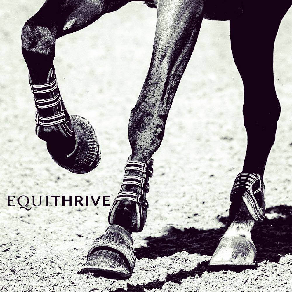 Ad by equithrive.com