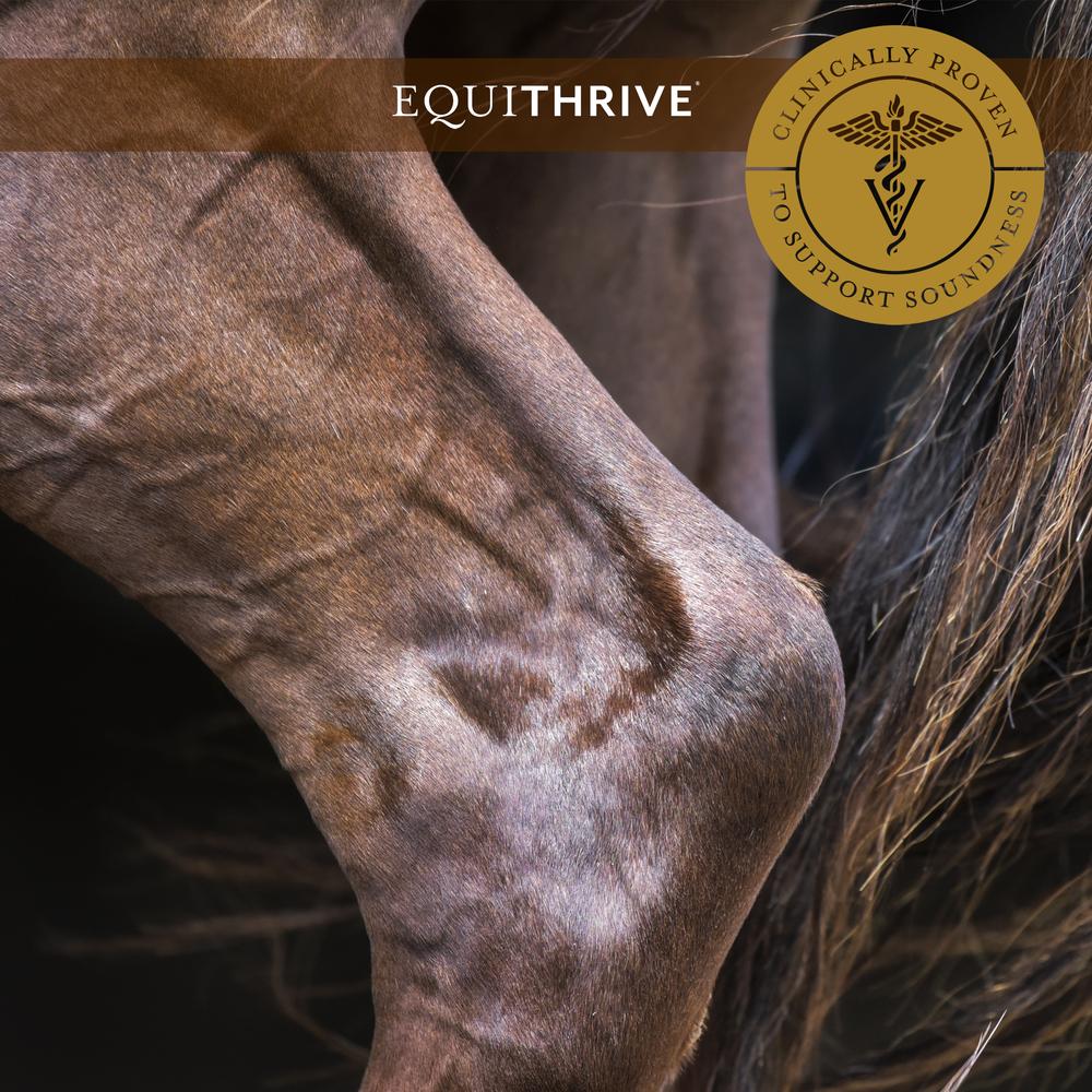 Ad by equithrive.com