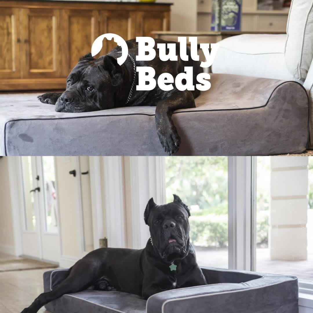 Ad by bullybeds.com