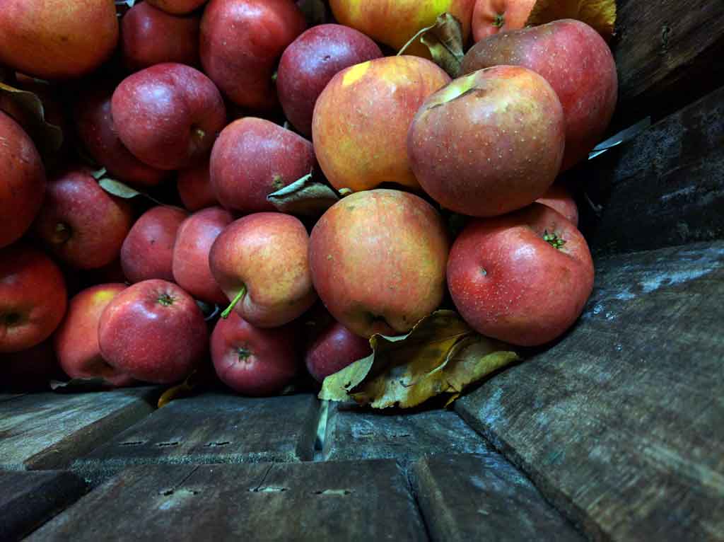 Ad by cheeseandwinetraders.com