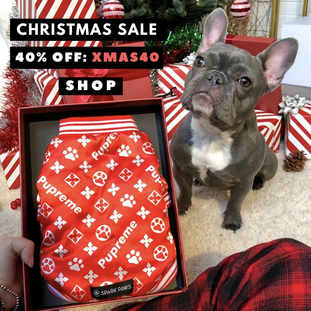 Ad by icondogwear.com