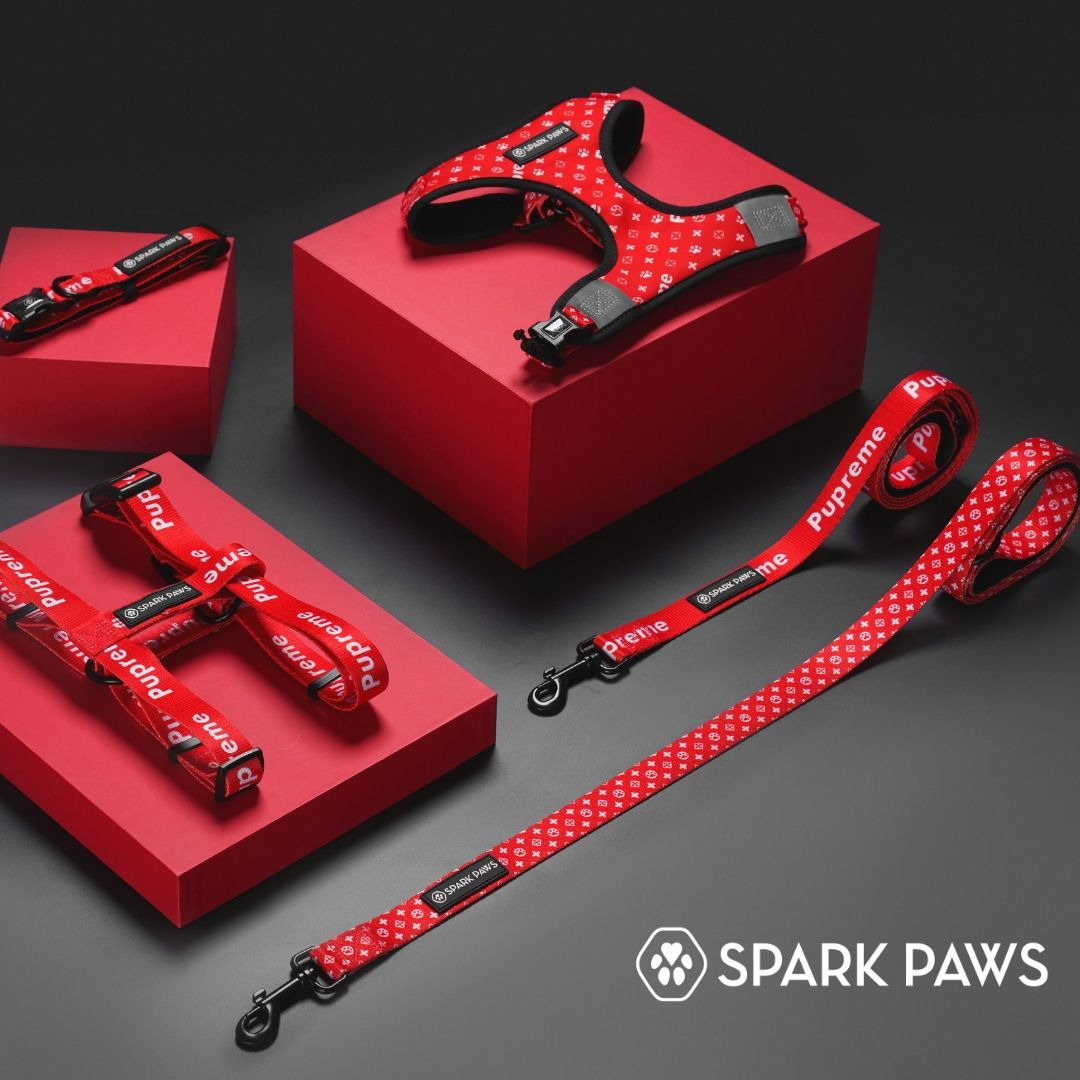 Ad by icondogwear.com