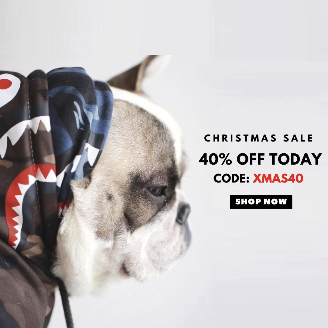 Ad by icondogwear.com