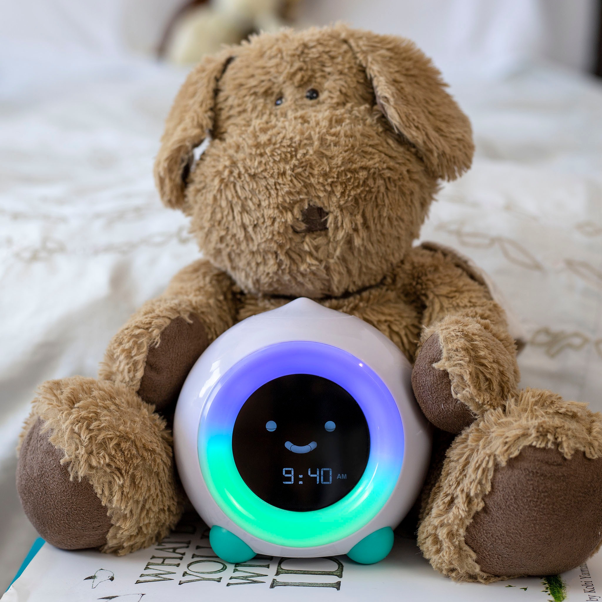 Ad by littlehippo.com