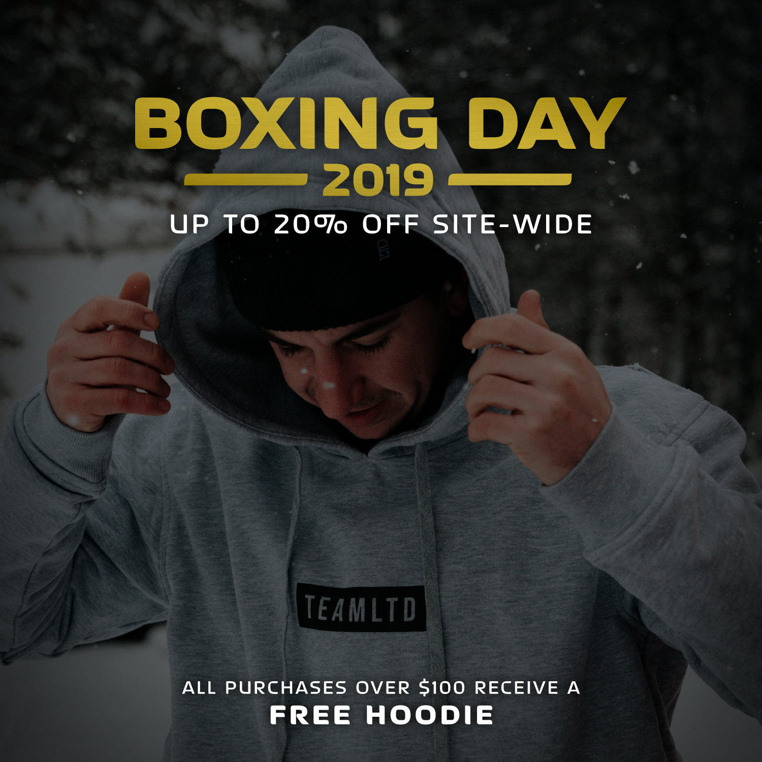 Ad by teamltd.com