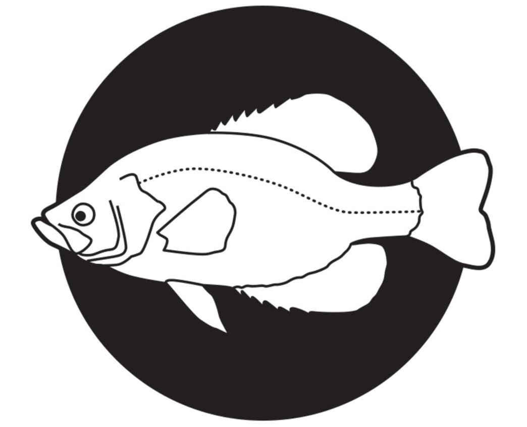 Ad by filthyanglers.com