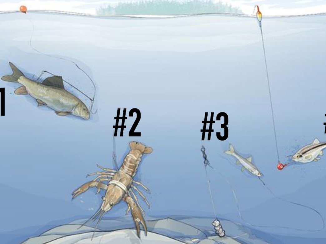 Ad by filthyanglers.com