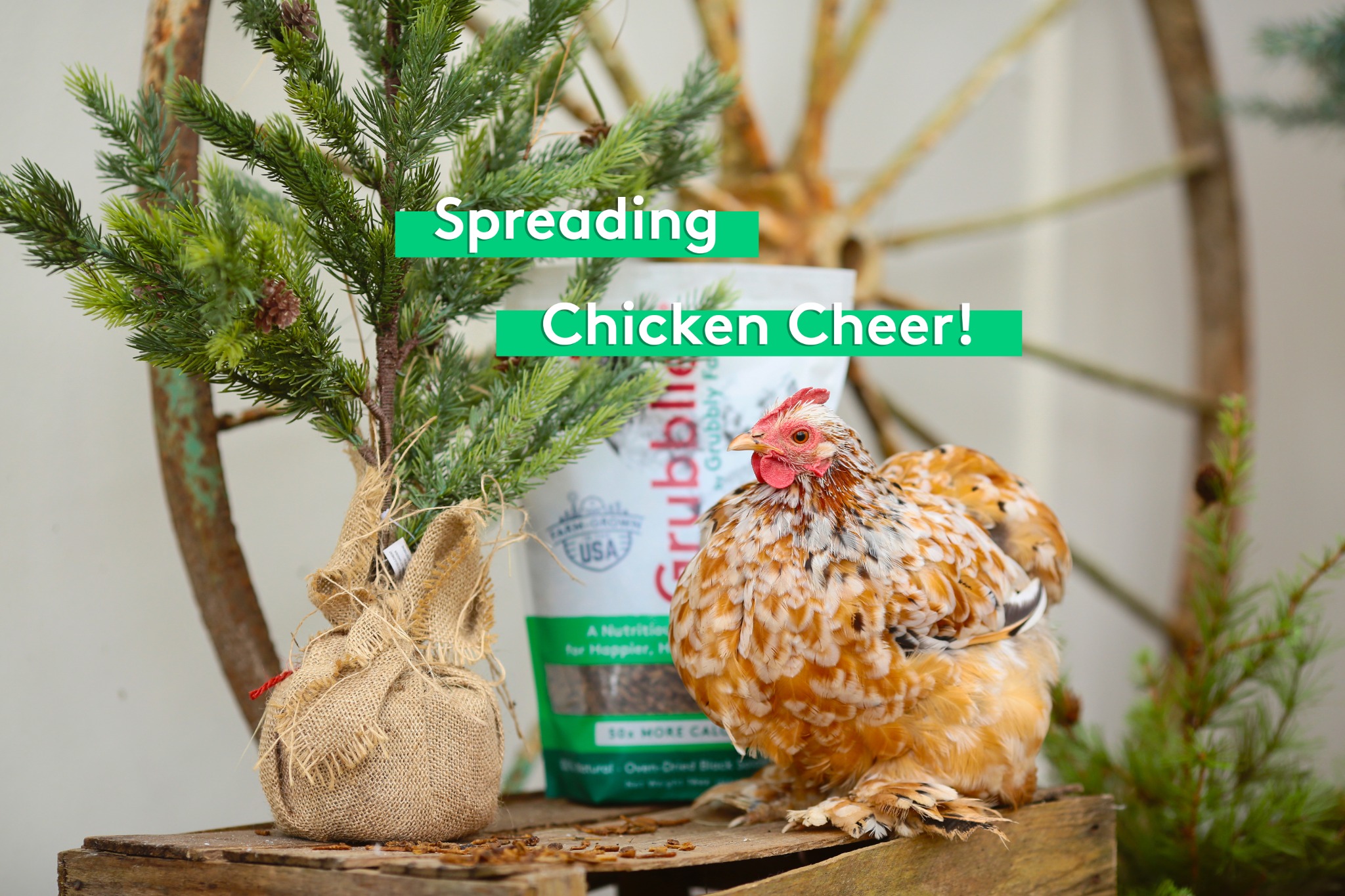 Ad by grubblyfarms.com