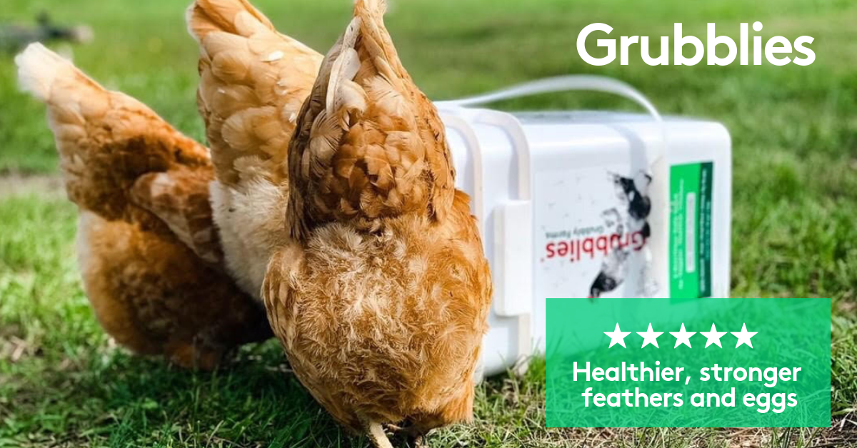 Ad by grubblyfarms.com