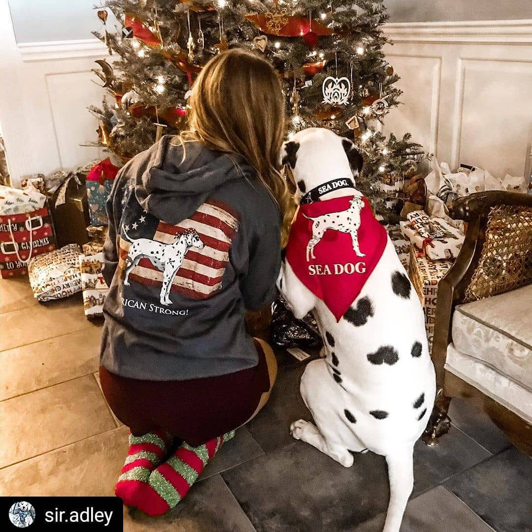 Ad by seadogshop.com