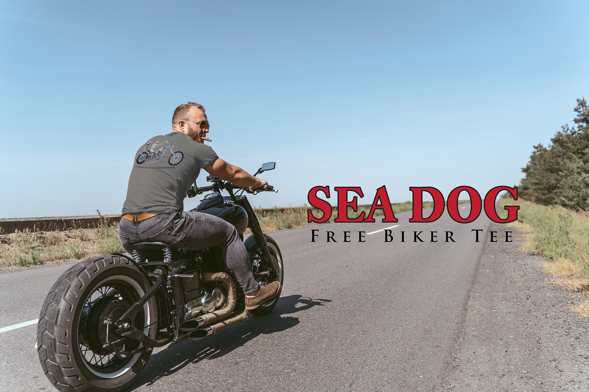 Ad by seadogshop.com