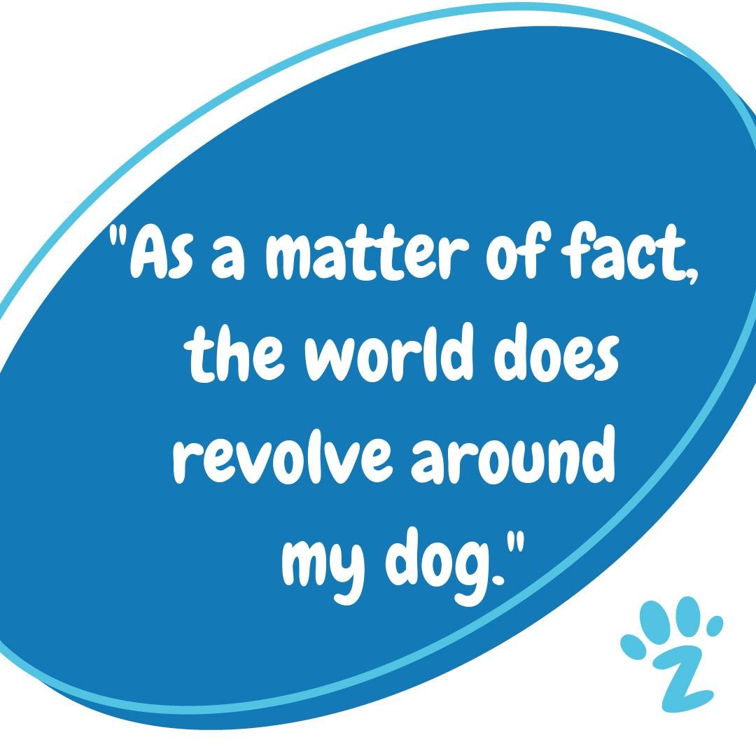 Ad by zestypaws.com