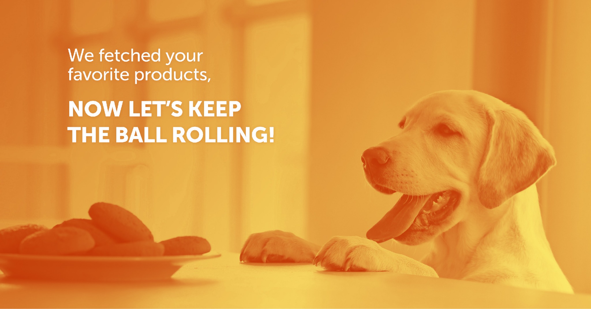 Ad by zestypaws.com