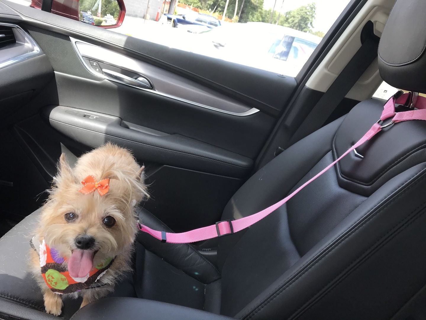 Ad by marsastore.com