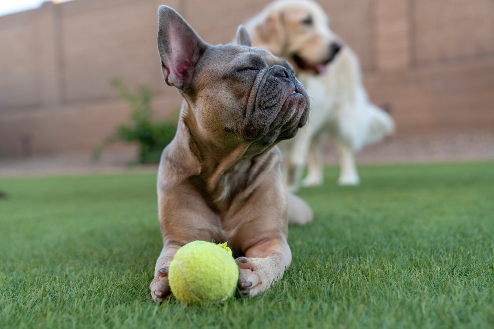 Ad by cutetennisstuff.com