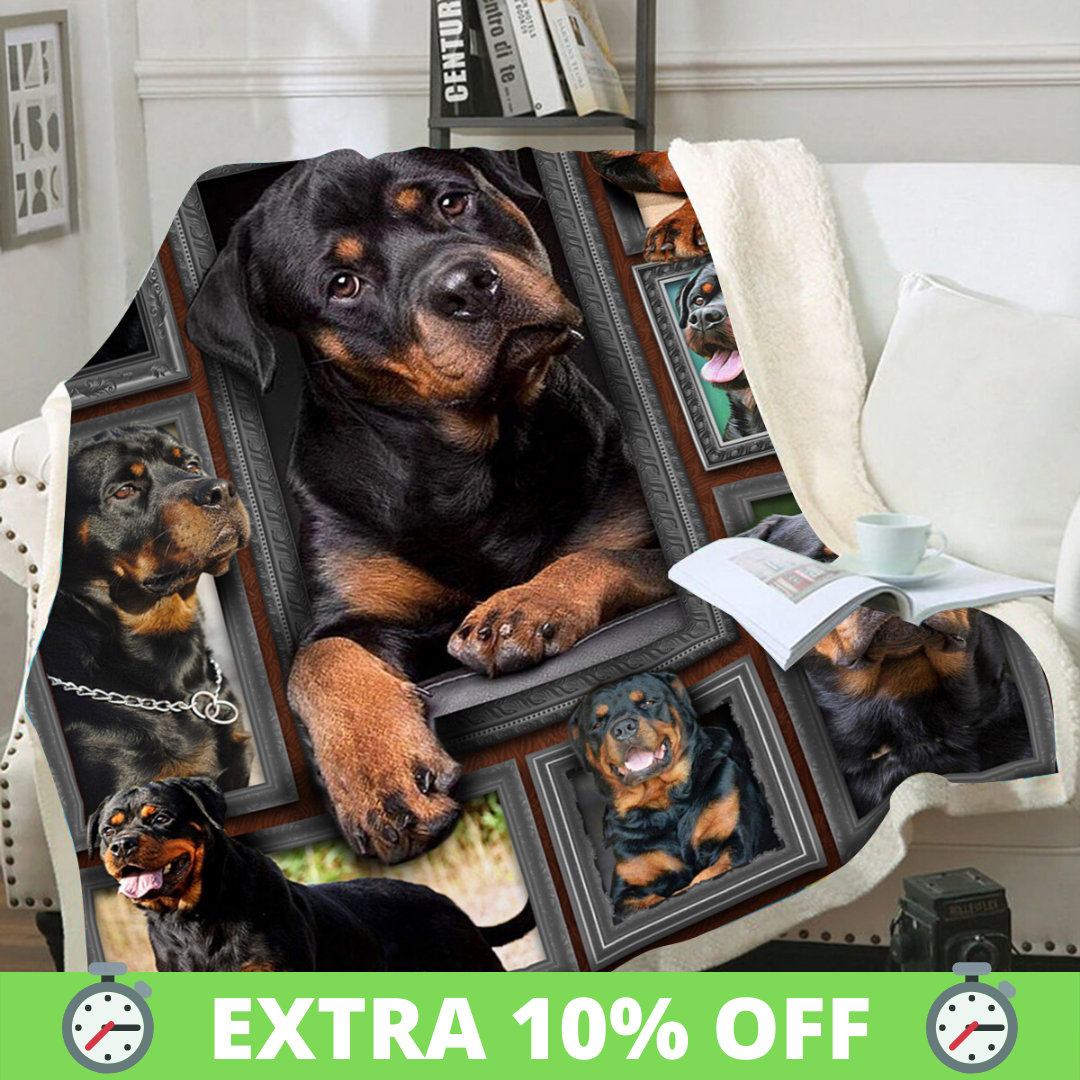 Ad by wearsaga.com