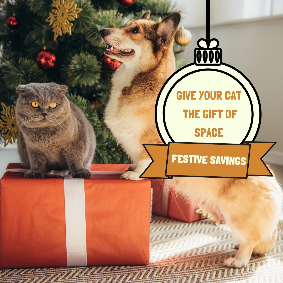 Ad by thedoorbuddy.com