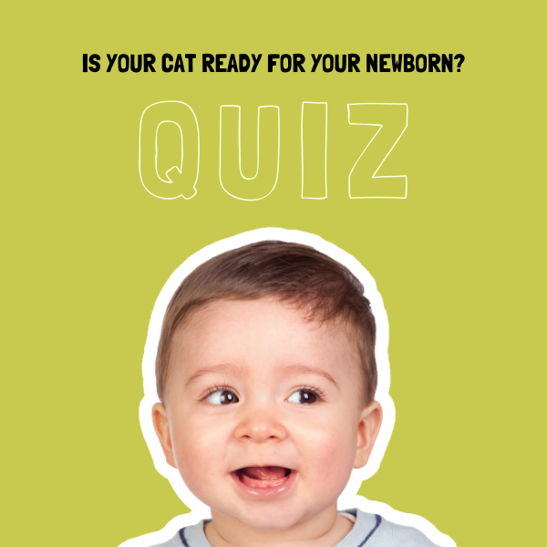 Ad by thedoorbuddy.com