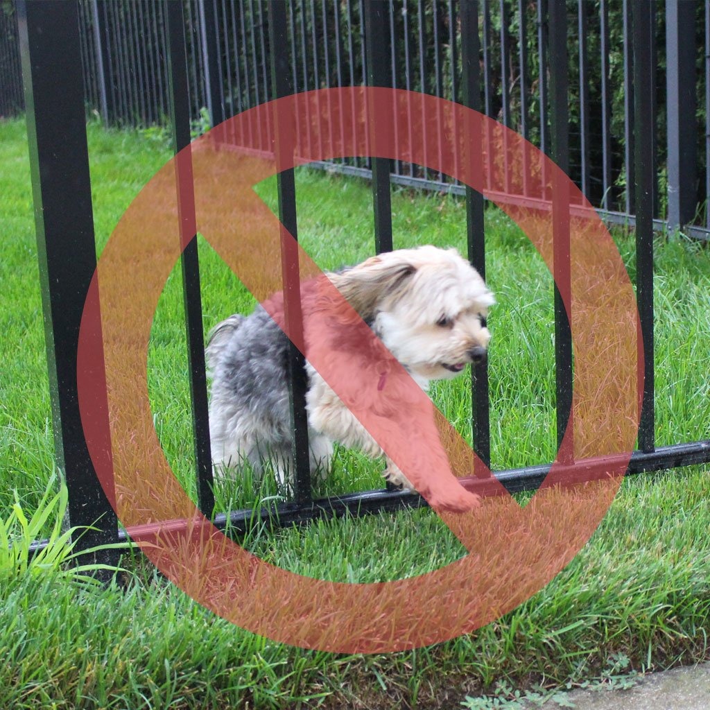 Ad by dogproofer.com