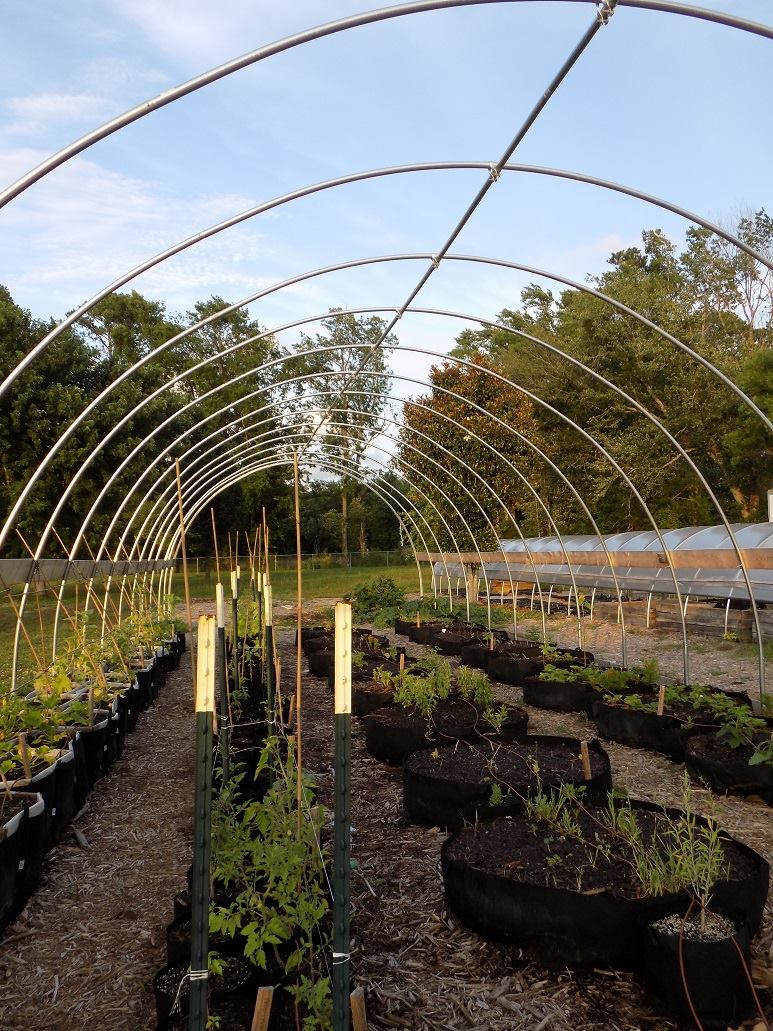 Ad by bootstrapfarmer.com