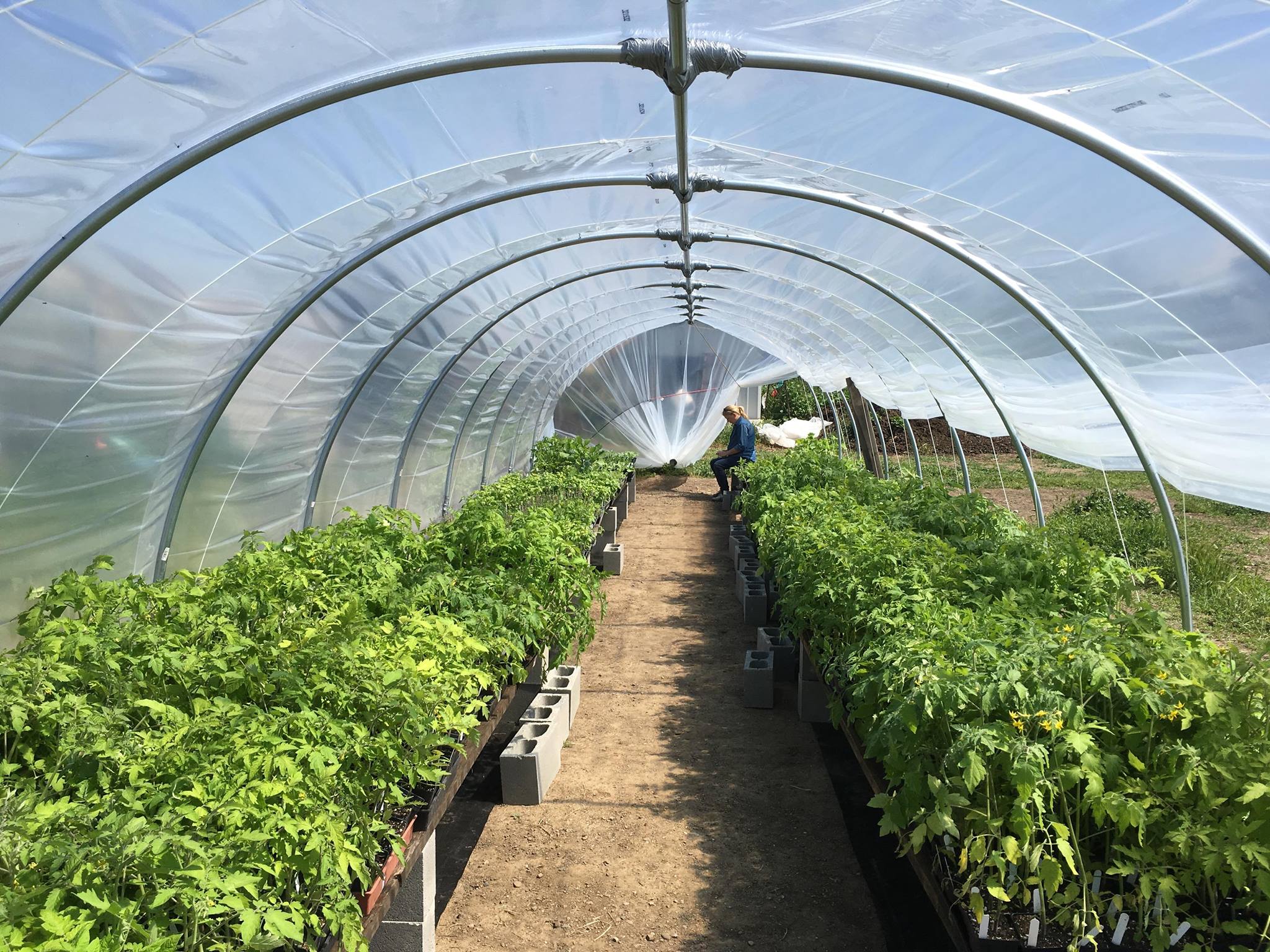 Ad by bootstrapfarmer.com