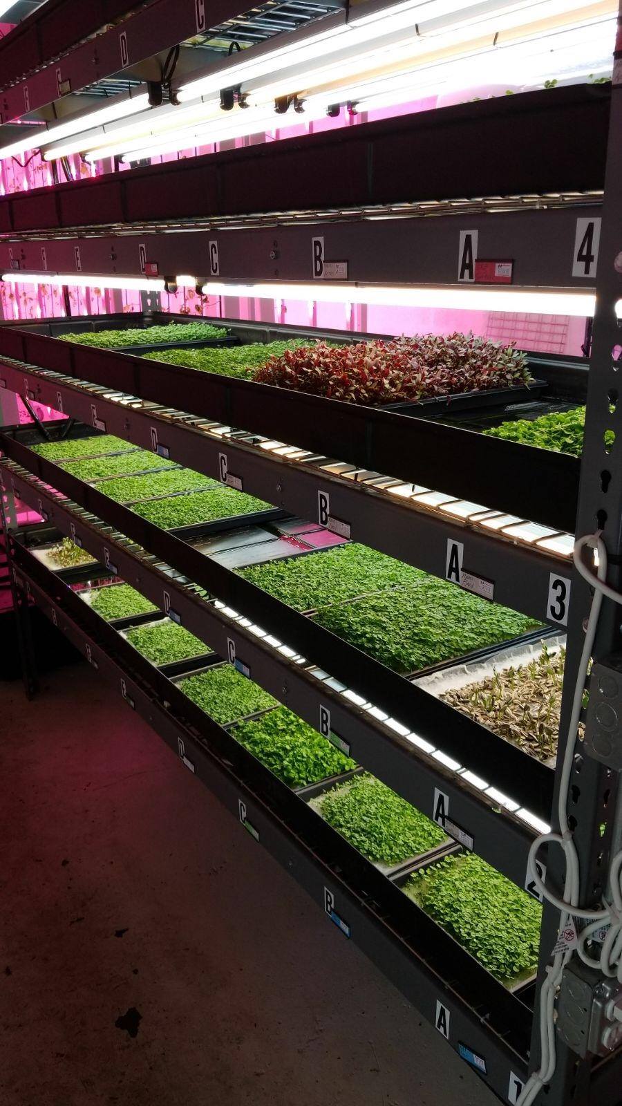 Ad by bootstrapfarmer.com