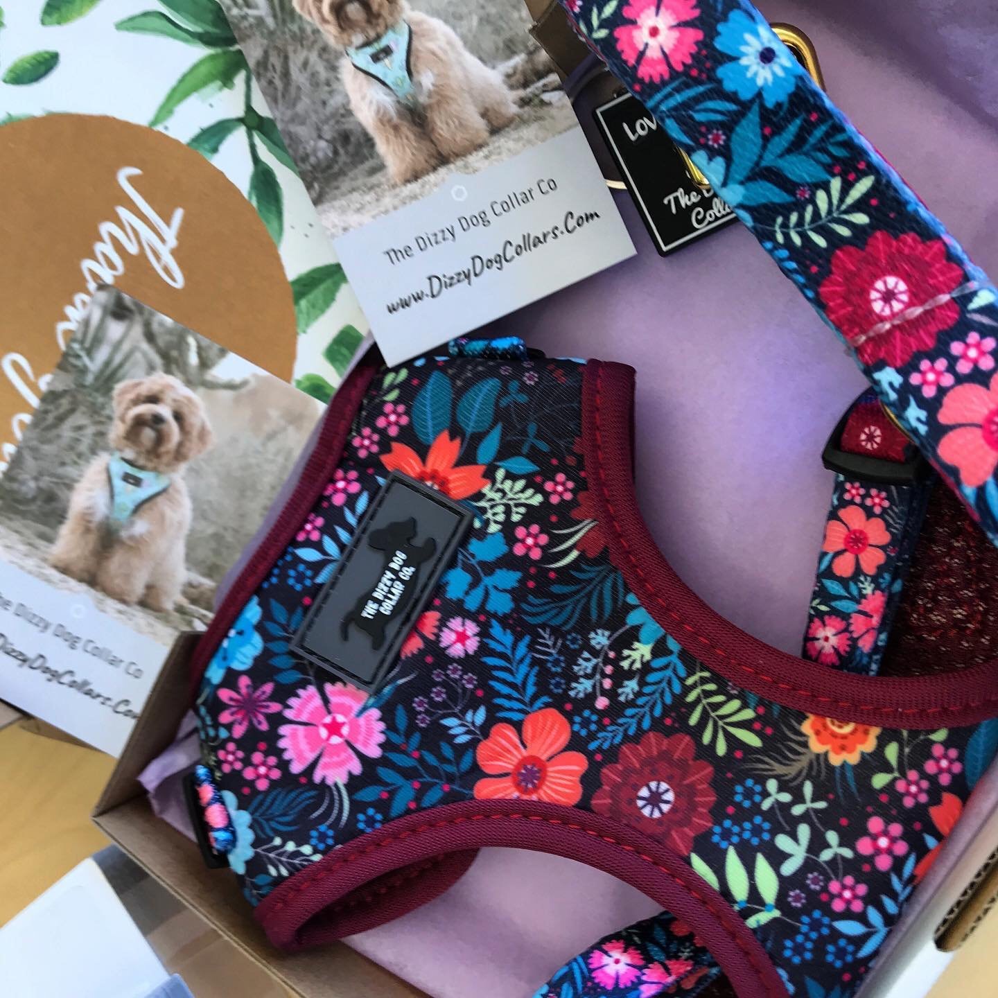 Ad by dizzydogcollars.com