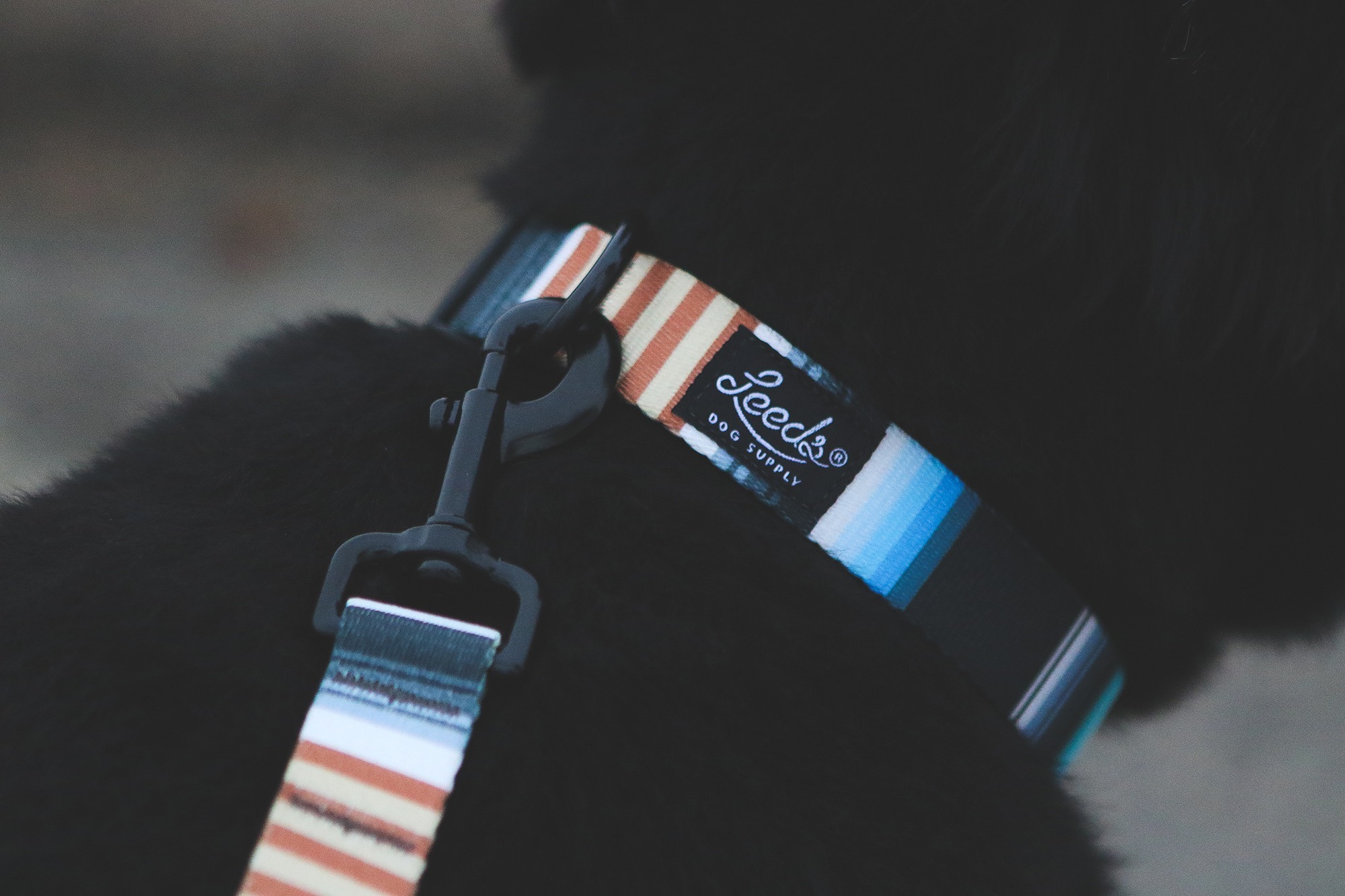 Ad by leedsdogsupply.com