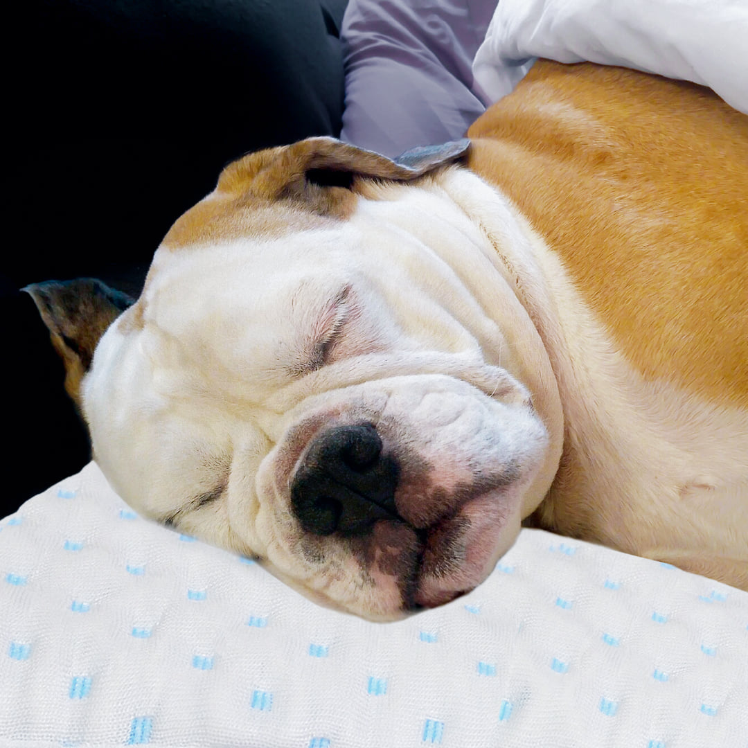 Ad by sleepovation.com