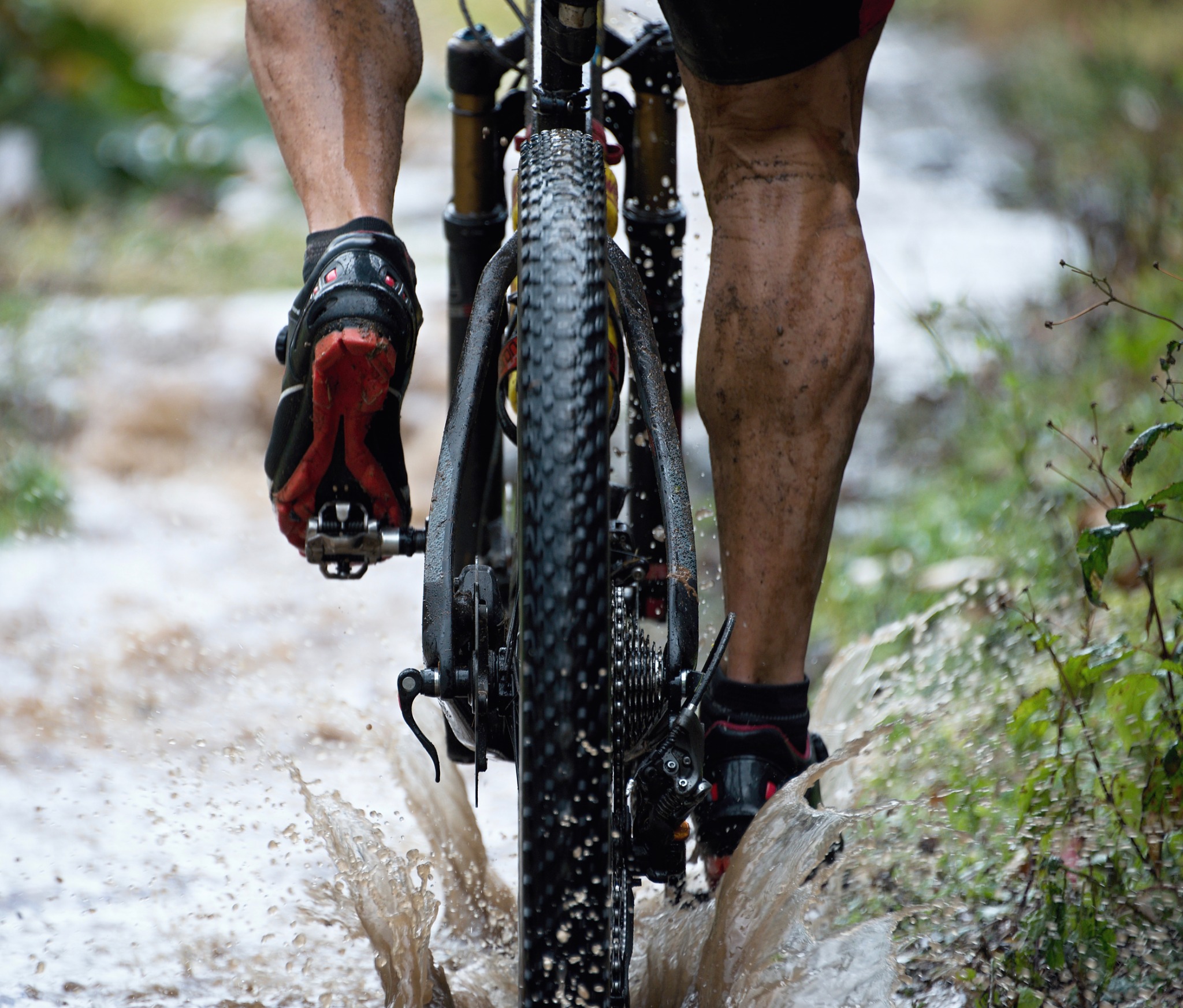 Ad by progenexcanada.com
