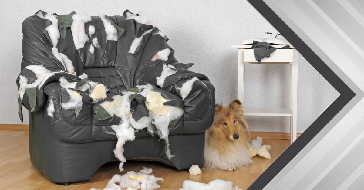 Ad by jacobscustomliving.com