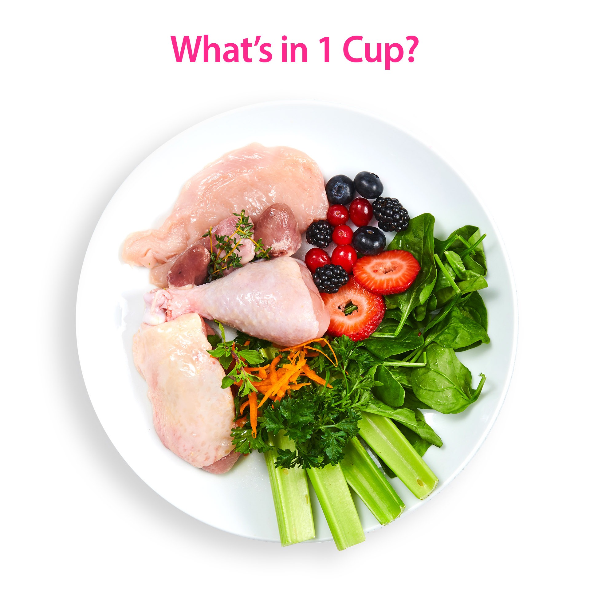 Ad by smackpetfood.com