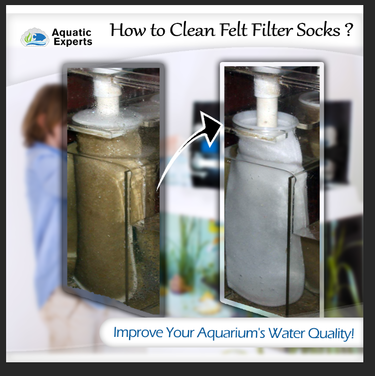 Ad by aquaticexperts.com