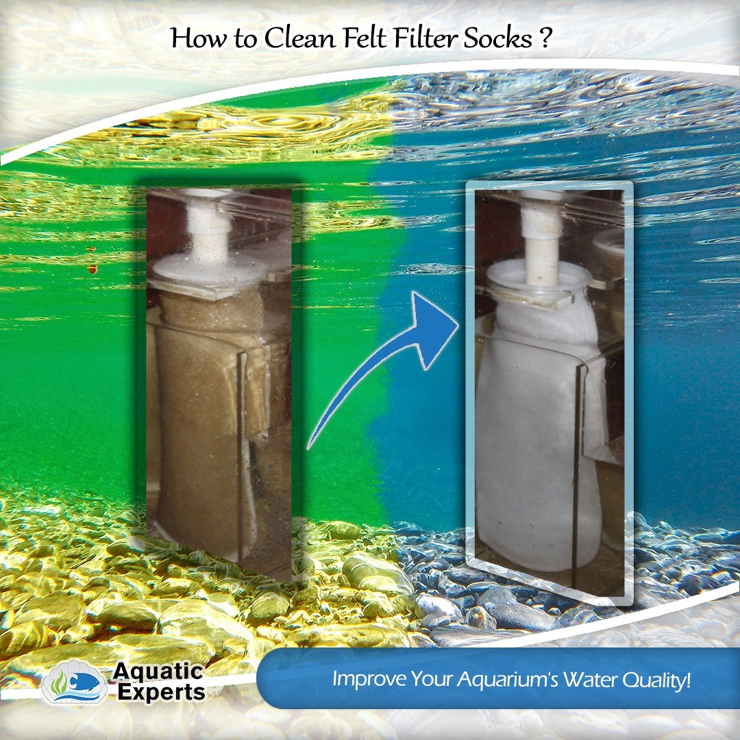 Ad by aquaticexperts.com