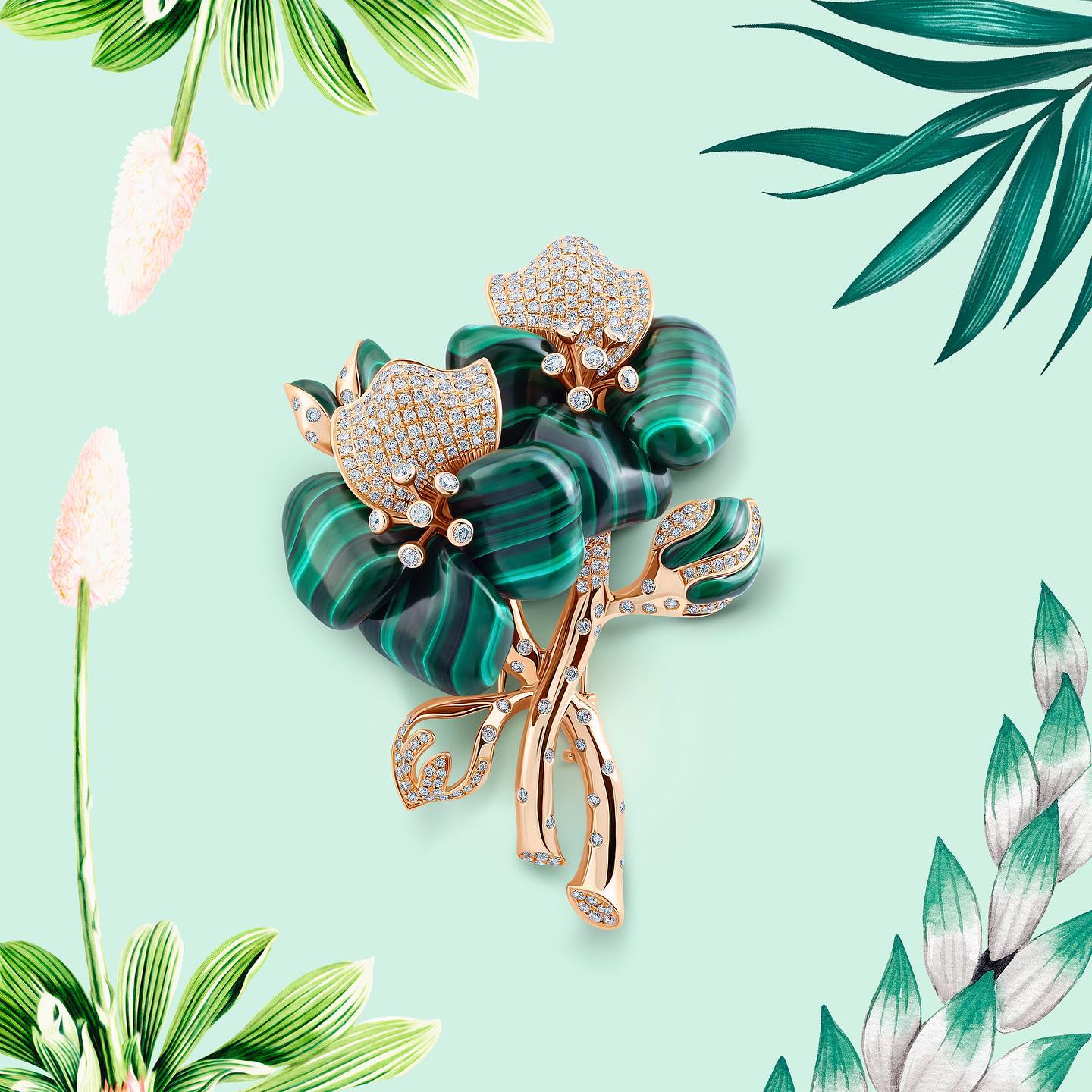 Ad by daniellakronfle.com