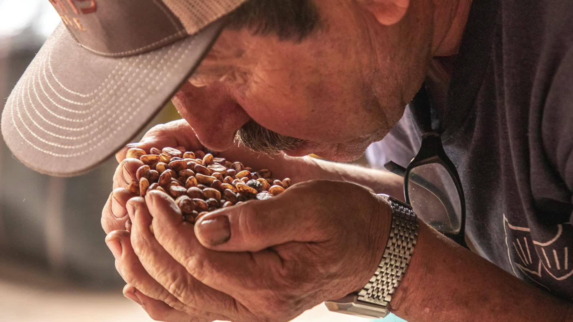 Ad by zbeanscoffee.com