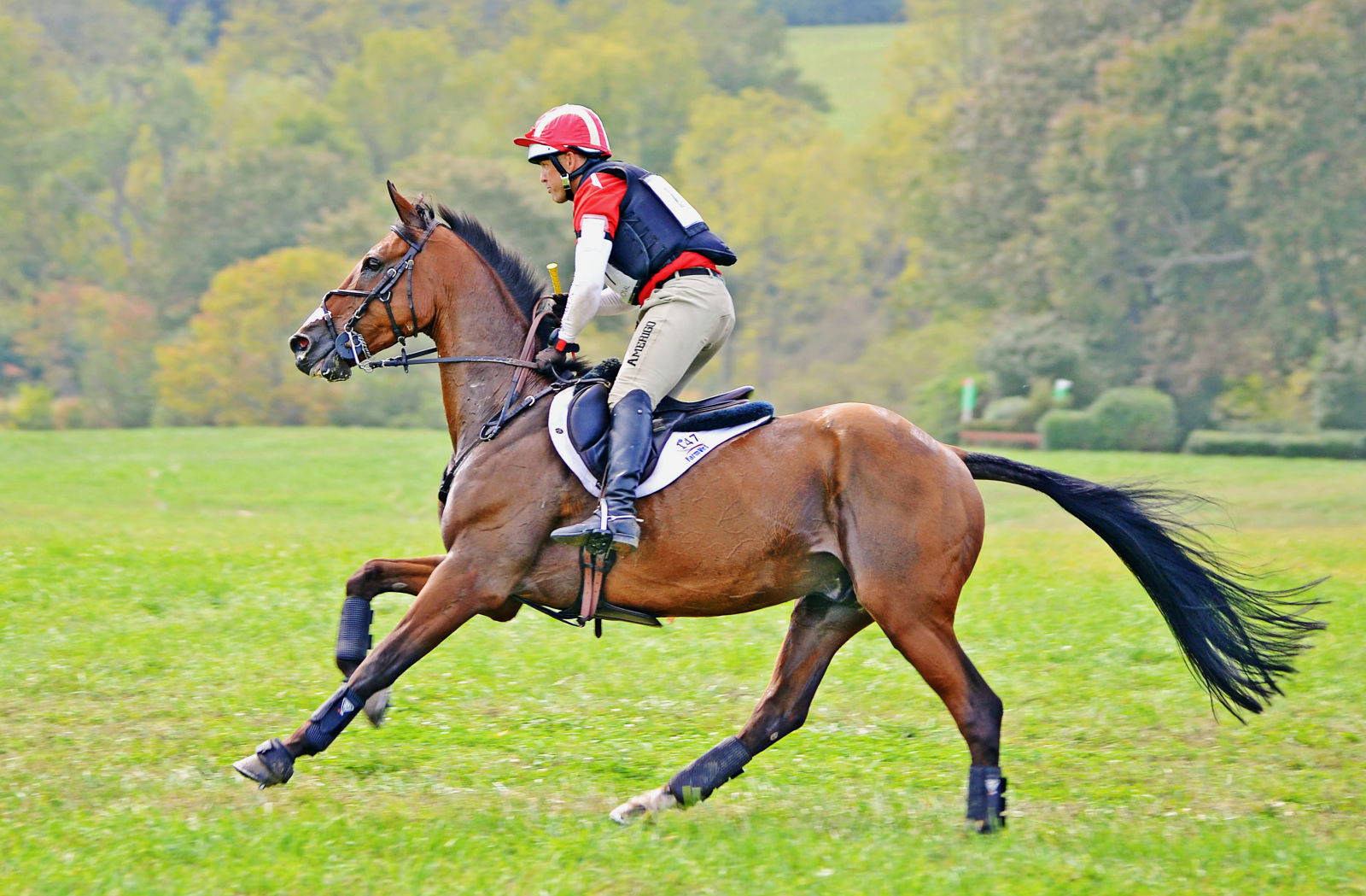 Ad by smartfarmhq.com