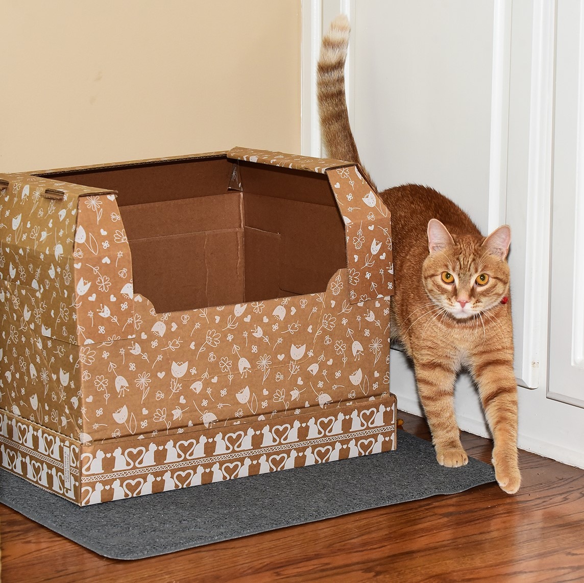 Ad by kittypooclub.com