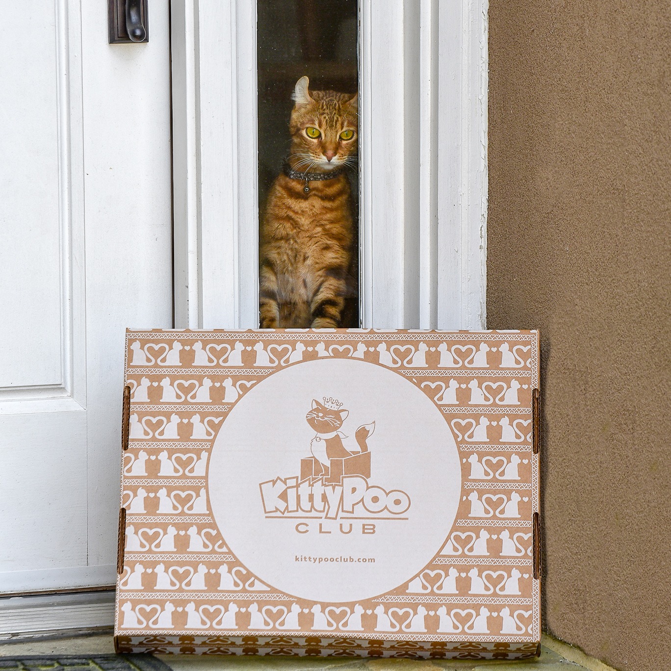 Ad by kittypooclub.com