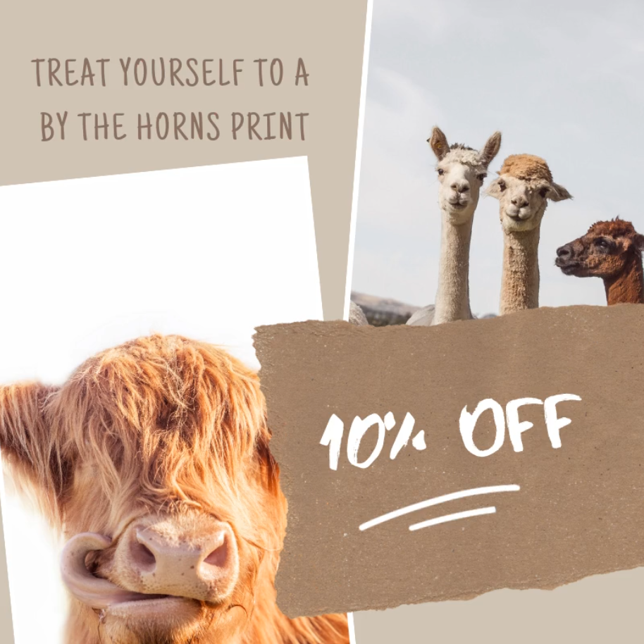 Ad by bythehorns.co.nz